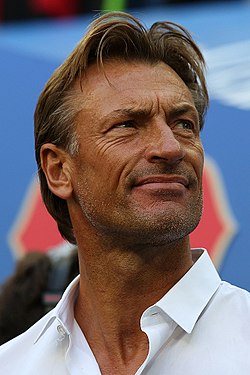 RENARD REPLACES LAMOUCHI AS TUNISIA’S COACH AT ONGOING WORLD CUP